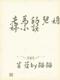 老马的儿媳顾婉婷小说