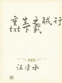 重生之贼行天下txt下载封面