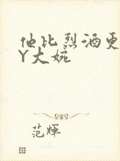 他比烈酒更撩BY大婉