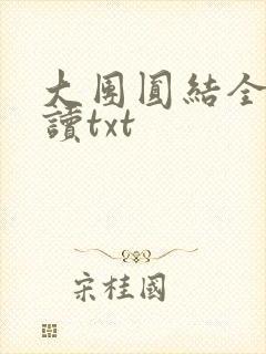 大团圆结全文阅读txt