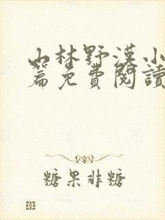 山林野汉小说全篇免费阅读封面