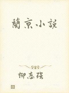兰京小说封面