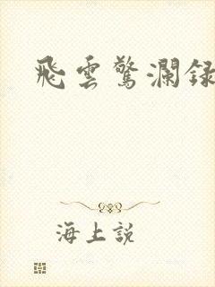 飞云惊澜录