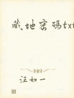 藏地密码txt封面