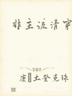 非主流清穿