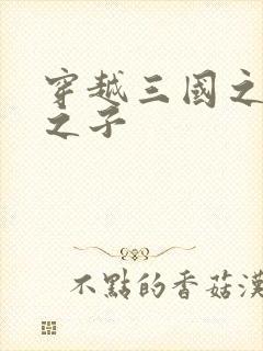 穿越三国之袁绍之子封面