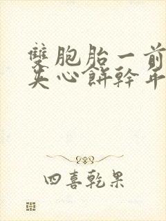 双胞胎一前一后夹心饼干年下封面