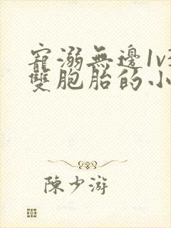 宠溺无边1v3双胞胎的小说