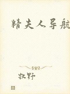 精夫人导航封面