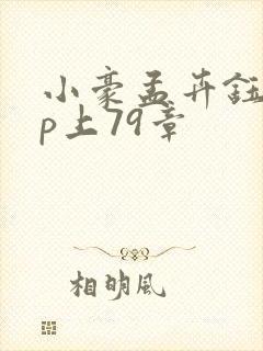 小豪孟卉钰慧三p上79章