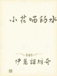 小花喵的水蜜桃