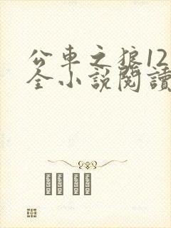 公车之狼12集全小说阅读