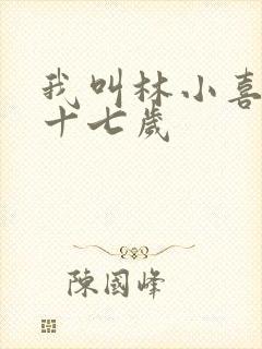 我叫林小喜今年十七岁封面