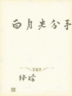 白月光分手日常