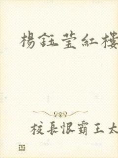 杨钰莹红楼