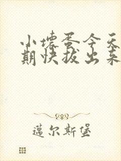 小坏蛋今天危险期快拔出来