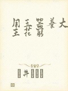 用玉器养大的公主花穷封面