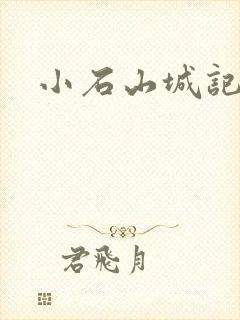 小石山城记