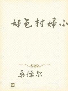 好色村妇小银贼封面