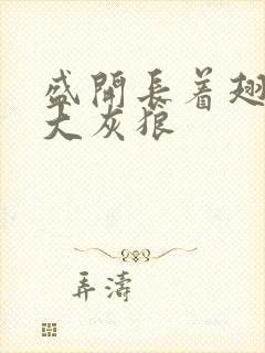 盛开长着翅膀的大灰狼封面