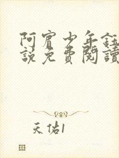 阿宾少年钰慧小说免费阅读笔趣阁