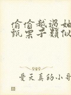 偷偷越过她by甄栗子类似小说