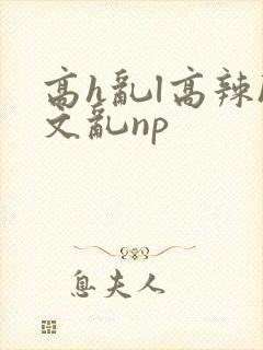 高h乱l高辣h文乱np封面