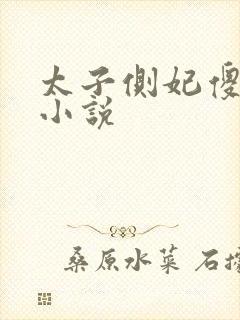 太子侧妃傻乎乎小说