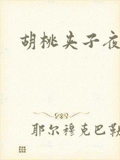 胡桃夹子夜未眠