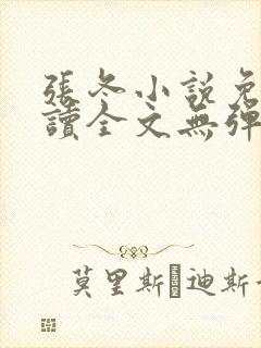 张冬小说免费阅读全文无弹窗封面