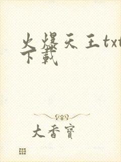 火爆天王txt下载封面