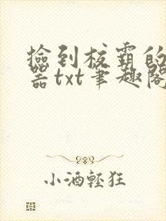 捡到校霸的遥控器txt笔趣阁