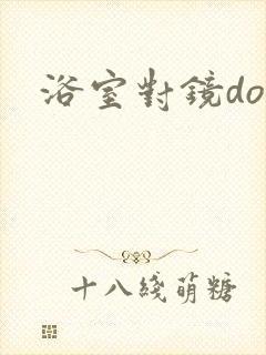 浴室对镜doi封面