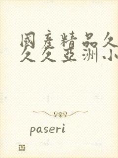 国产精品久久久久久亚洲小说