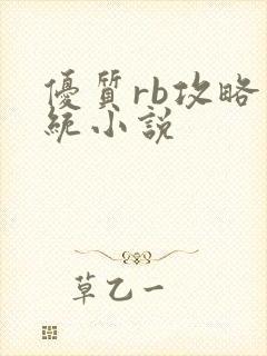 优质rb攻略系统小说