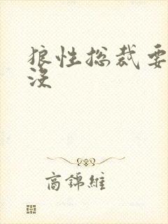 狼性总裁要够了没