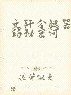 文轩分腿器河马的秘密河