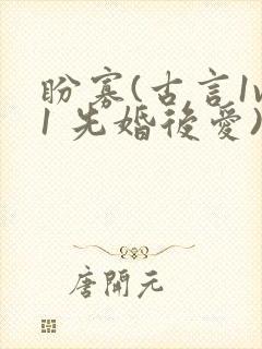 盼寡(古言1v1 先婚后爱)