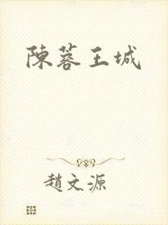 陈蓉王城封面