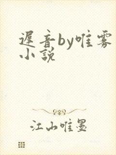 迟音by唯雾的小说封面