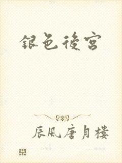 银色后宫