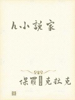 h小说家
