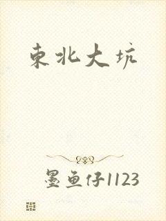 东北大坑封面