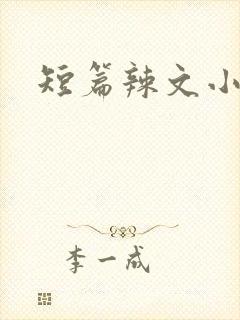 短篇辣文小说