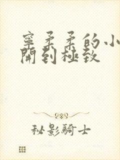 宁柔柔的小泬撑开到极致封面