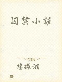 囚禁小说