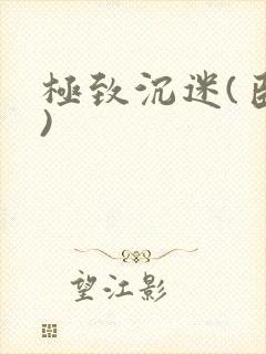 极致沉迷(臣年)封面