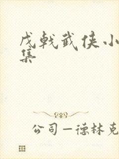 戊戟武侠小说全集