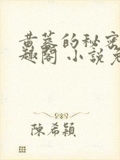 黄蓉的秘密 笔趣阁 小说免费阅读封面