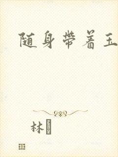 随身带着玉如意封面